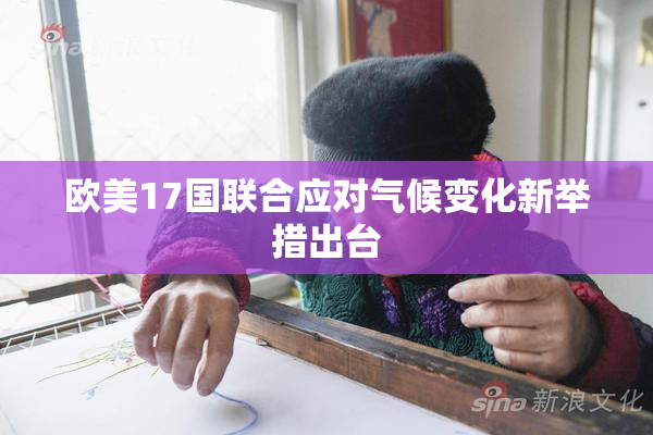 欧美17国联合应对气候变化新举措出台