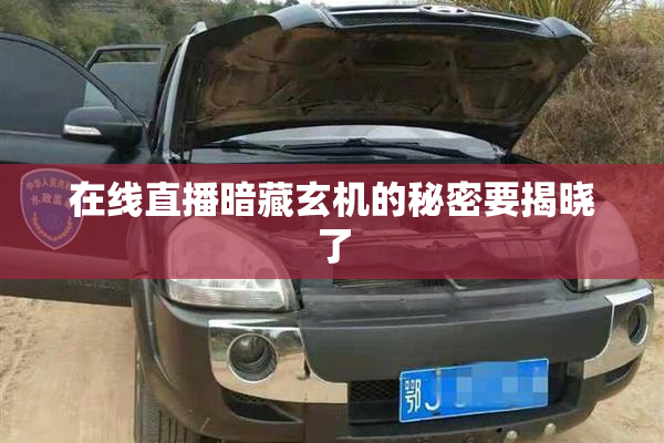 在线直播暗藏玄机的秘密要揭晓了