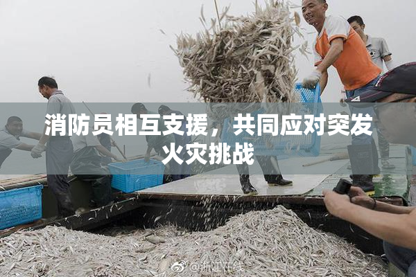 消防员相互支援，共同应对突发火灾挑战