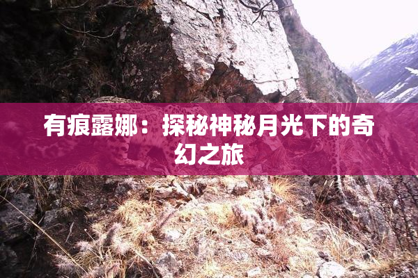 有痕露娜：探秘神秘月光下的奇幻之旅