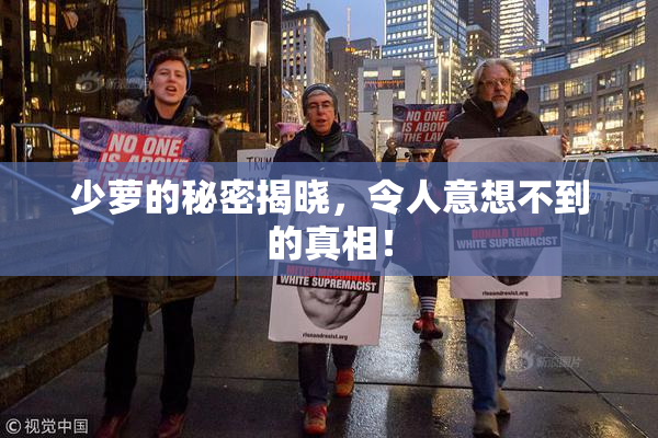 少萝的秘密揭晓，令人意想不到的真相！