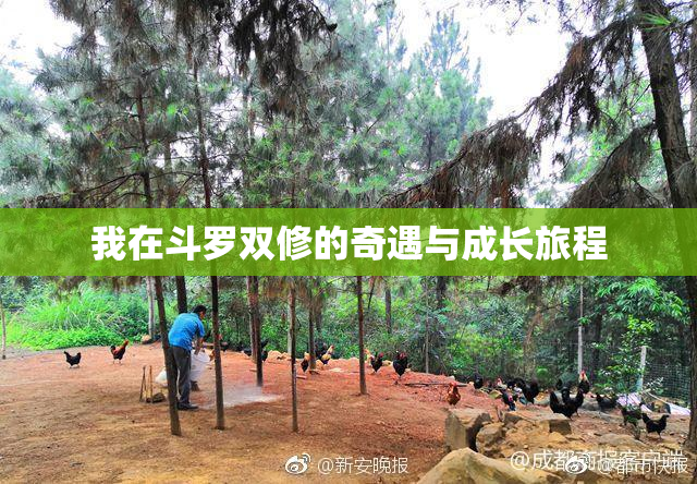 我在斗罗双修的奇遇与成长旅程
