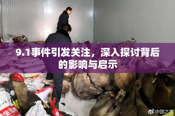 9.1事件引发关注，深入探讨背后的影响与启示