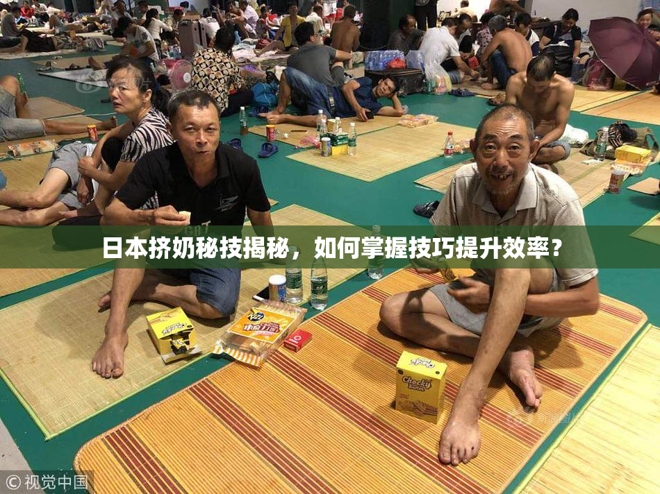 日本挤奶秘技揭秘，如何掌握技巧提升效率？