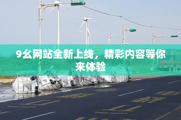 9幺网站全新上线，精彩内容等你来体验