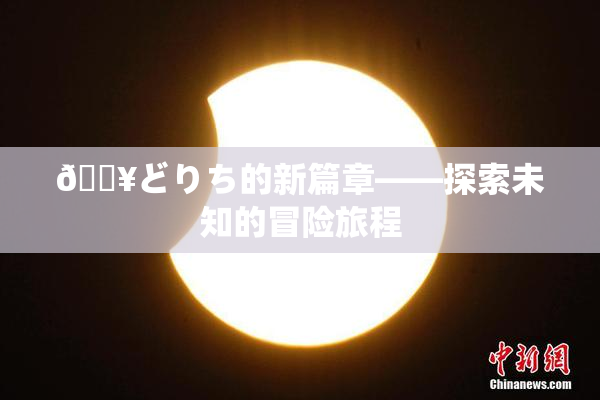 🔥どりち的新篇章——探索未知的冒险旅程