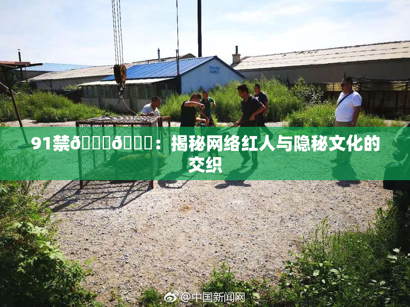 91禁🍆🍑：揭秘网络红人与隐秘文化的交织