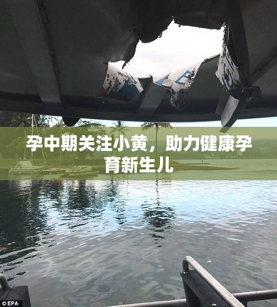 孕中期关注小黄，助力健康孕育新生儿