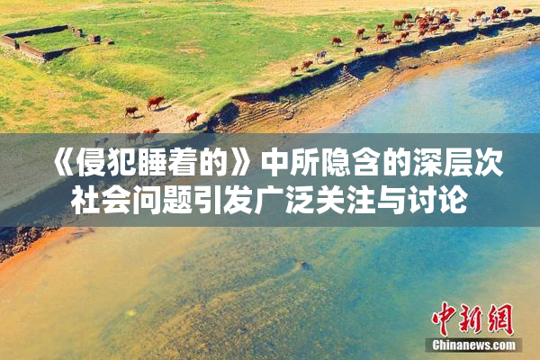 《侵犯睡着的》中所隐含的深层次社会问题引发广泛关注与讨论