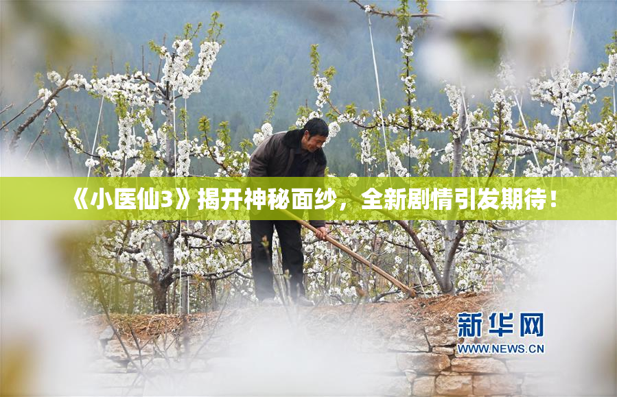 《小医仙3》揭开神秘面纱，全新剧情引发期待！