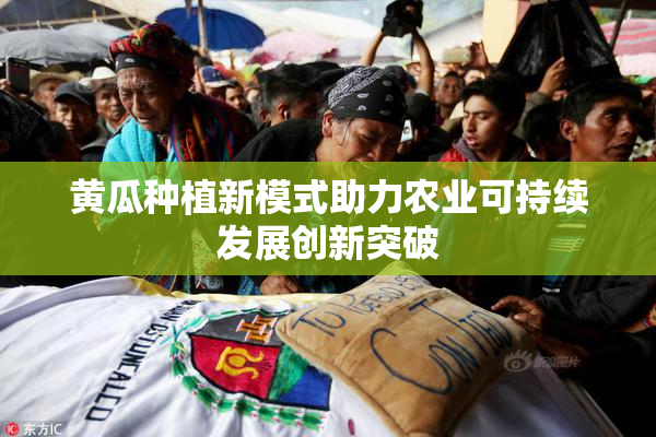 黄瓜种植新模式助力农业可持续发展创新突破