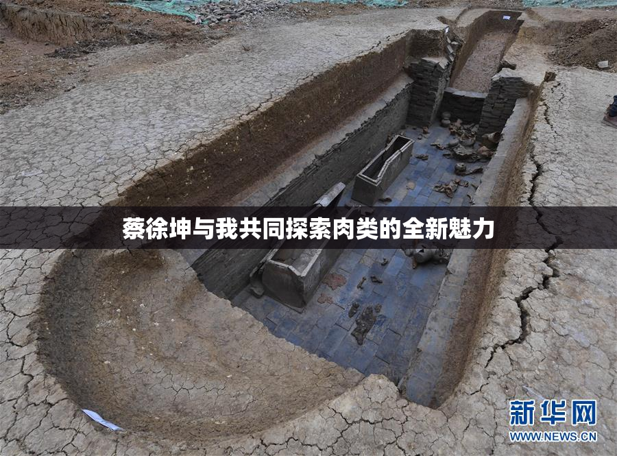 蔡徐坤与我共同探索肉类的全新魅力