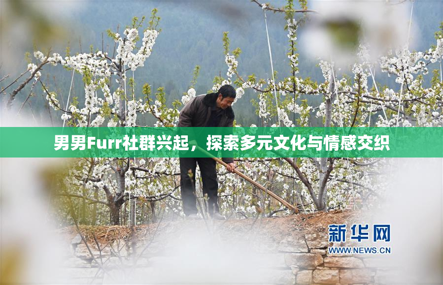 男男Furr社群兴起，探索多元文化与情感交织