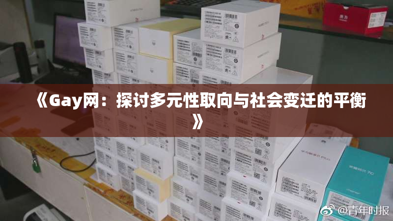 《Gay网：探讨多元性取向与社会变迁的平衡》