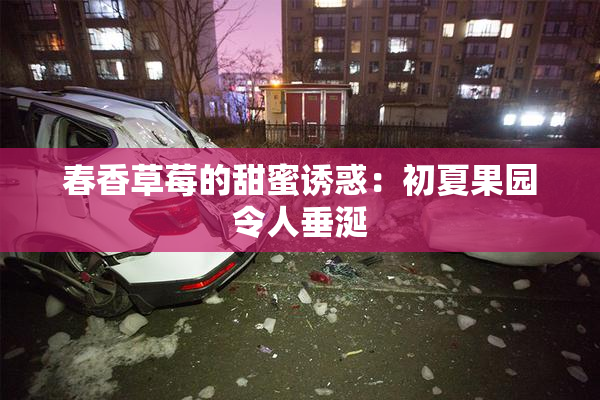 春香草莓的甜蜜诱惑：初夏果园令人垂涎