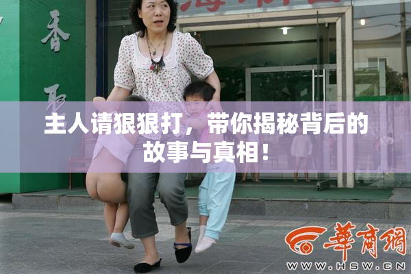 主人请狠狠打，带你揭秘背后的故事与真相！