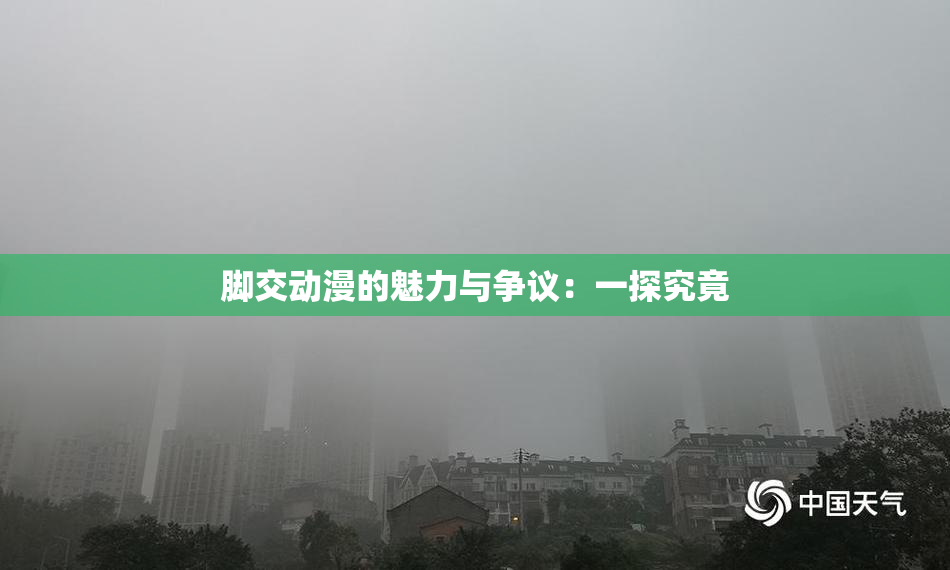 脚交动漫的魅力与争议：一探究竟