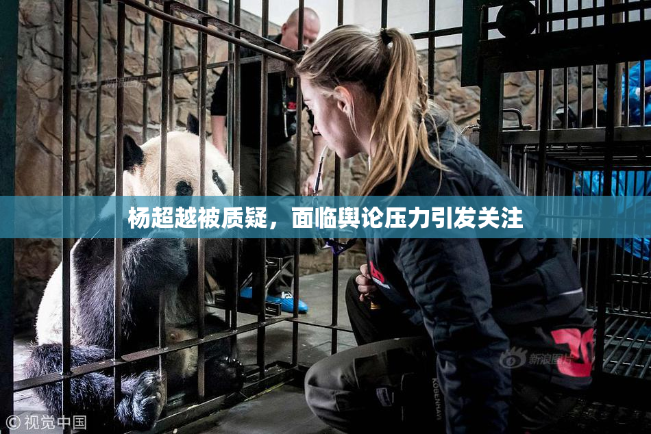杨超越被质疑，面临舆论压力引发关注