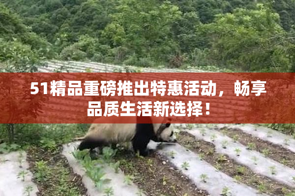 51精品重磅推出特惠活动，畅享品质生活新选择！