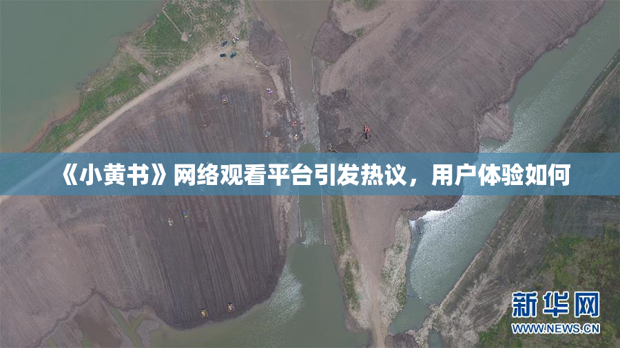《小黄书》网络观看平台引发热议，用户体验如何