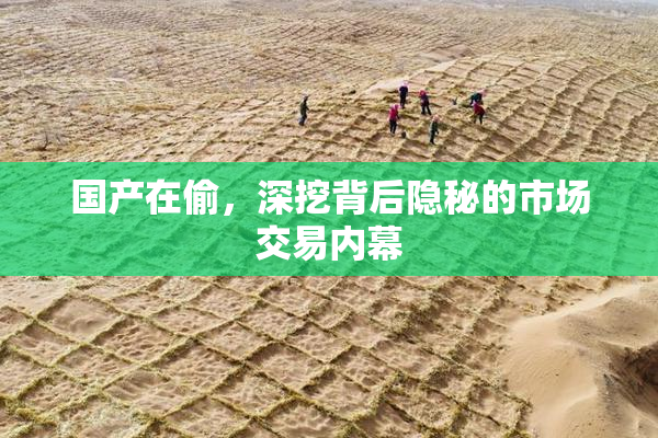 国产在偷，深挖背后隐秘的市场交易内幕