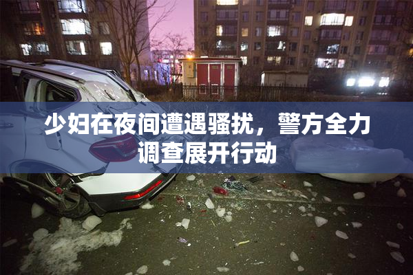 少妇在夜间遭遇骚扰，警方全力调查展开行动