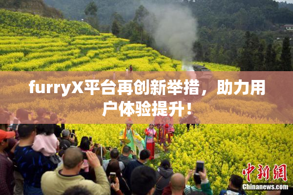 furryX平台再创新举措，助力用户体验提升！