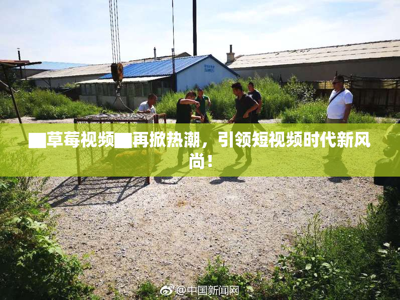 ▇草莓视频▇再掀热潮，引领短视频时代新风尚！
