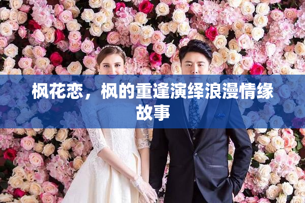 枫花恋，枫的重逢演绎浪漫情缘故事
