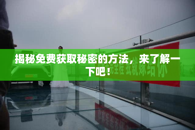 揭秘免费获取秘密的方法，来了解一下吧！