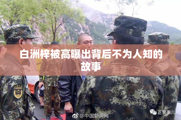 白洲梓被高曝出背后不为人知的故事