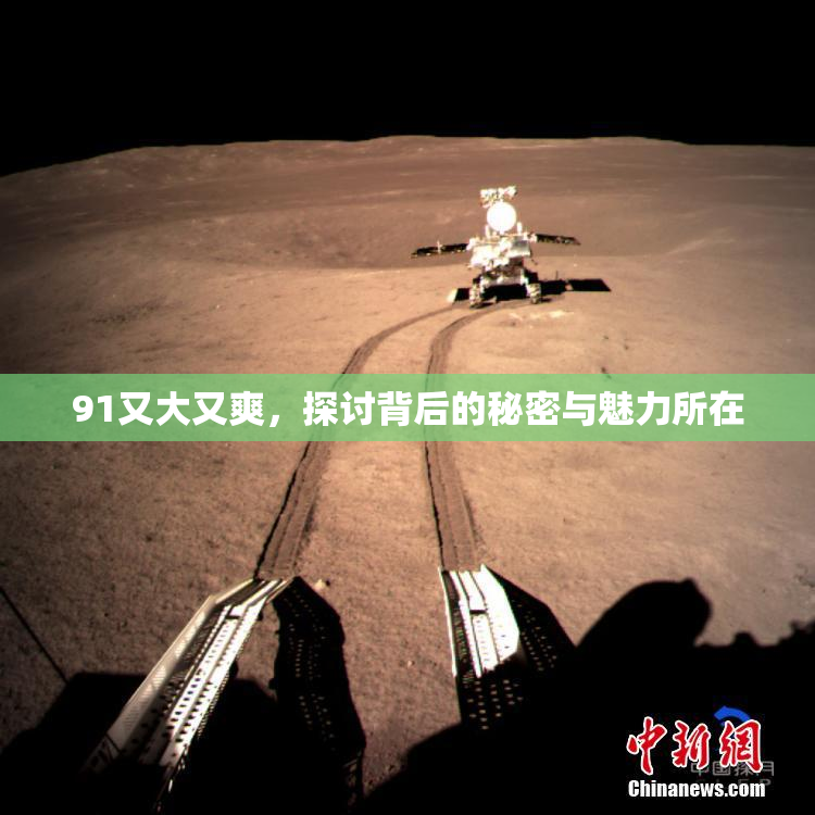 91又大又爽，探讨背后的秘密与魅力所在