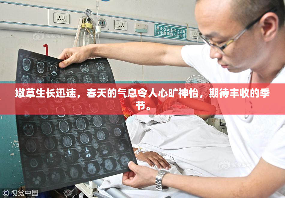 嫩草生长迅速，春天的气息令人心旷神怡，期待丰收的季节。