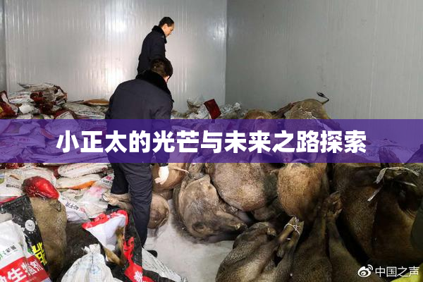 小正太的光芒与未来之路探索
