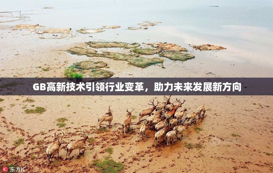 GB高新技术引领行业变革，助力未来发展新方向