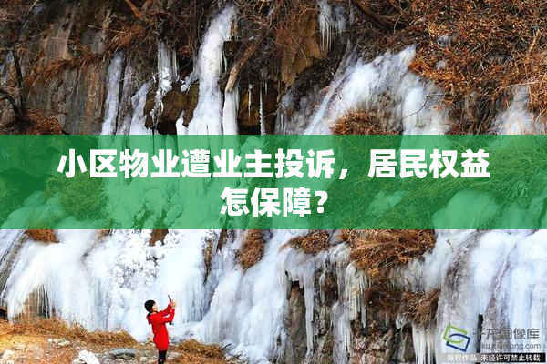 小区物业遭业主投诉，居民权益怎保障？