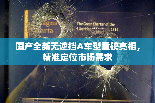 国产全新无遮挡A车型重磅亮相，精准定位市场需求