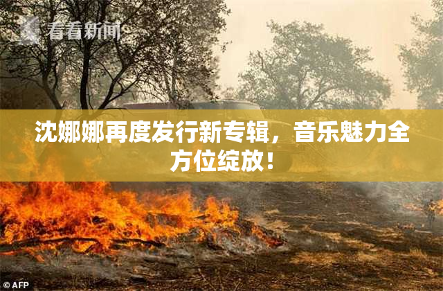 沈娜娜再度发行新专辑，音乐魅力全方位绽放！