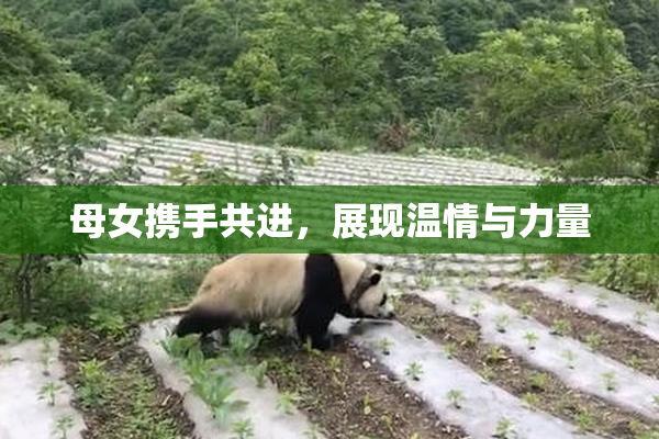 母女携手共进，展现温情与力量
