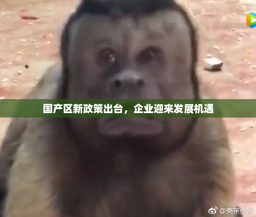 国产区新政策出台，企业迎来发展机遇