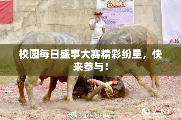 校园每日盛事大赛精彩纷呈，快来参与！