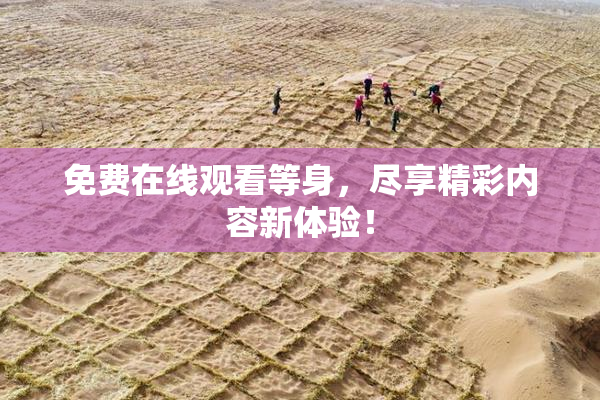 免费在线观看等身，尽享精彩内容新体验！