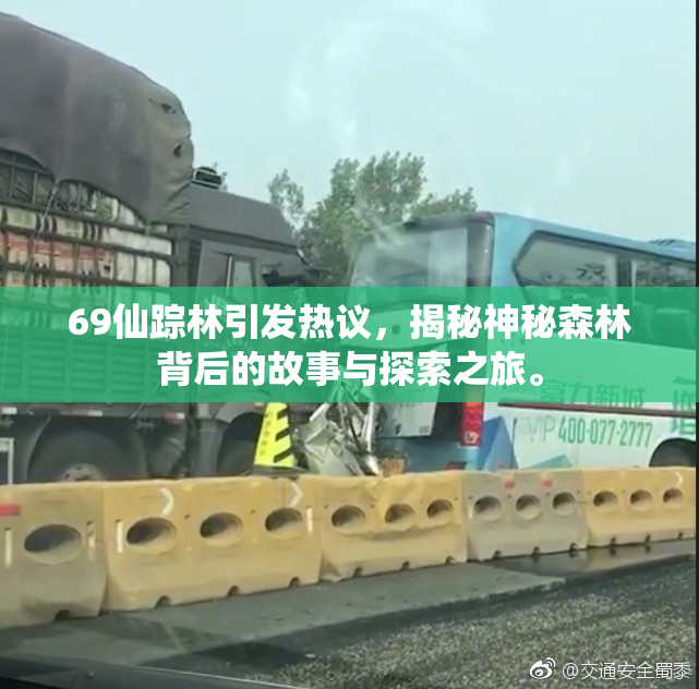 69仙踪林引发热议，揭秘神秘森林背后的故事与探索之旅。