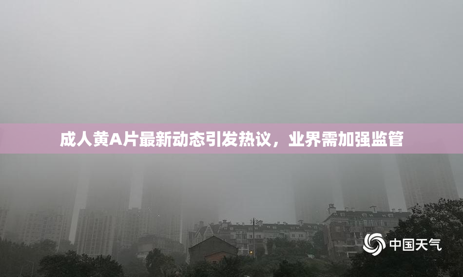 成人黄A片最新动态引发热议，业界需加强监管