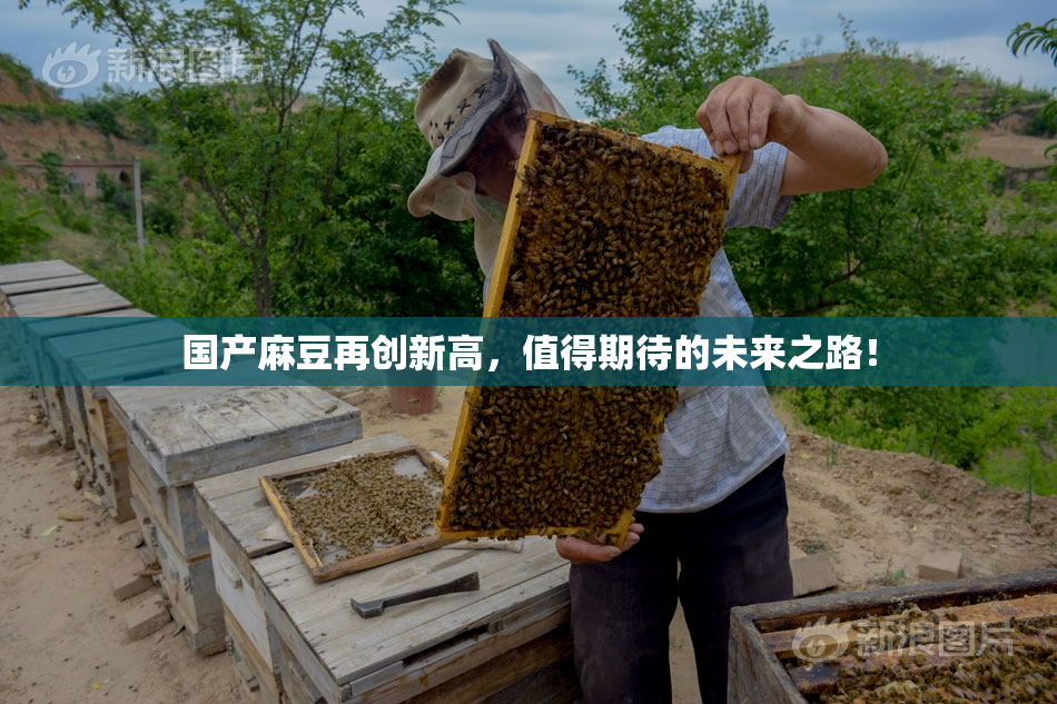 国产麻豆再创新高，值得期待的未来之路！