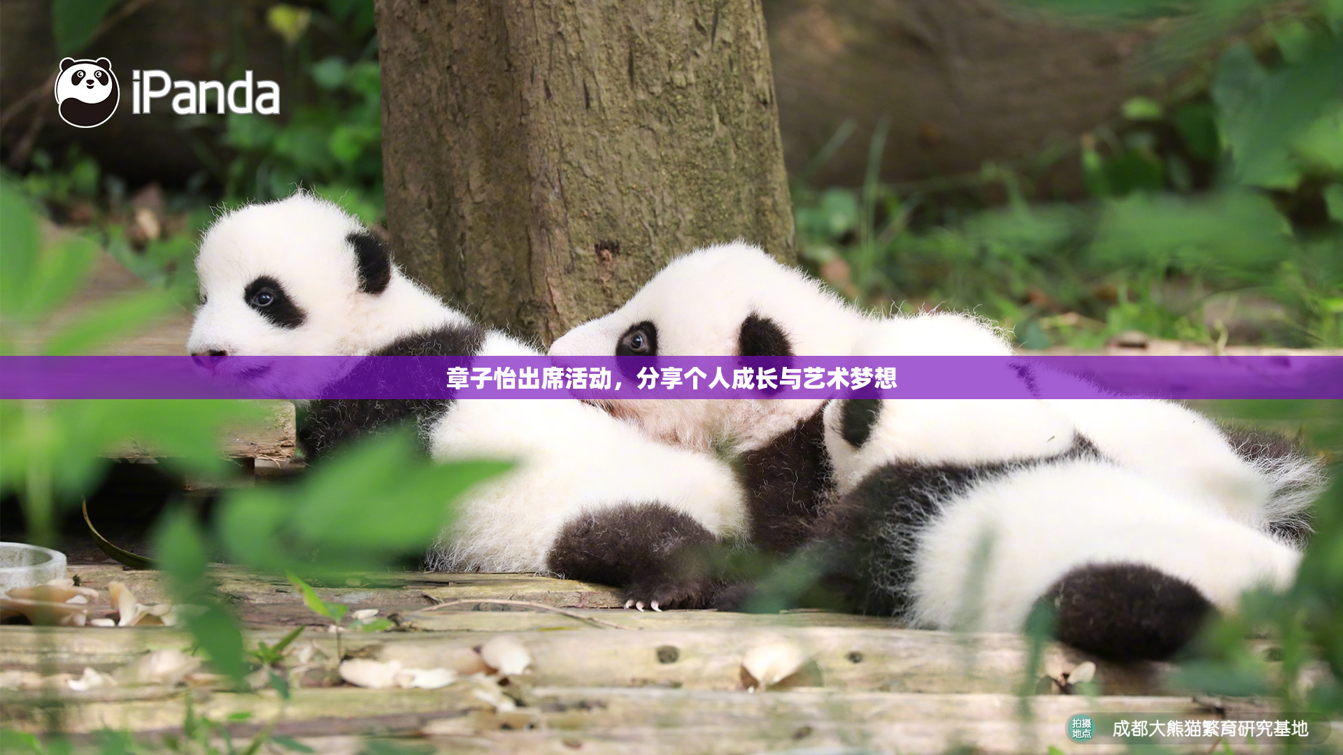 章子怡出席活动，分享个人成长与艺术梦想