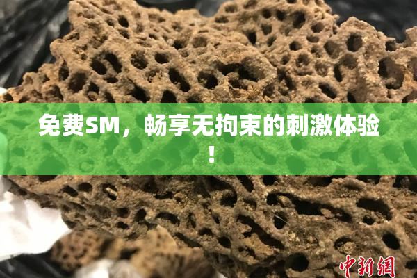 免费SM，畅享无拘束的刺激体验！