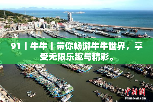 91丨牛牛丨带你畅游牛牛世界，享受无限乐趣与精彩。