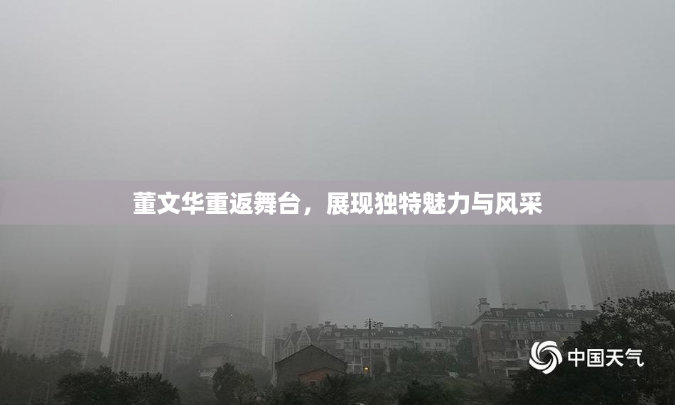 董文华重返舞台，展现独特魅力与风采