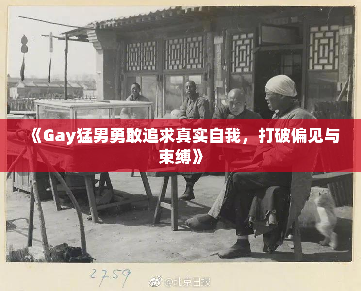 《Gay猛男勇敢追求真实自我，打破偏见与束缚》